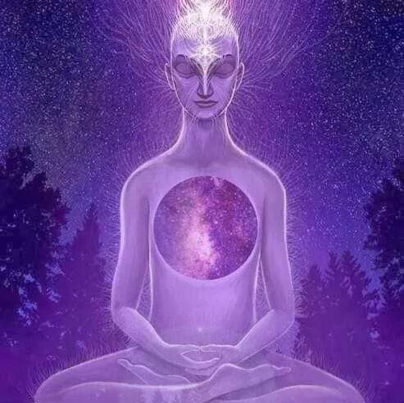 Meet your Posher, Sarahi - Picture 1 of 1